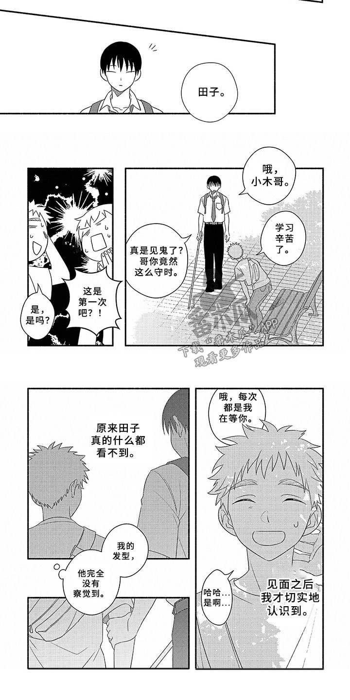 第15章：头发