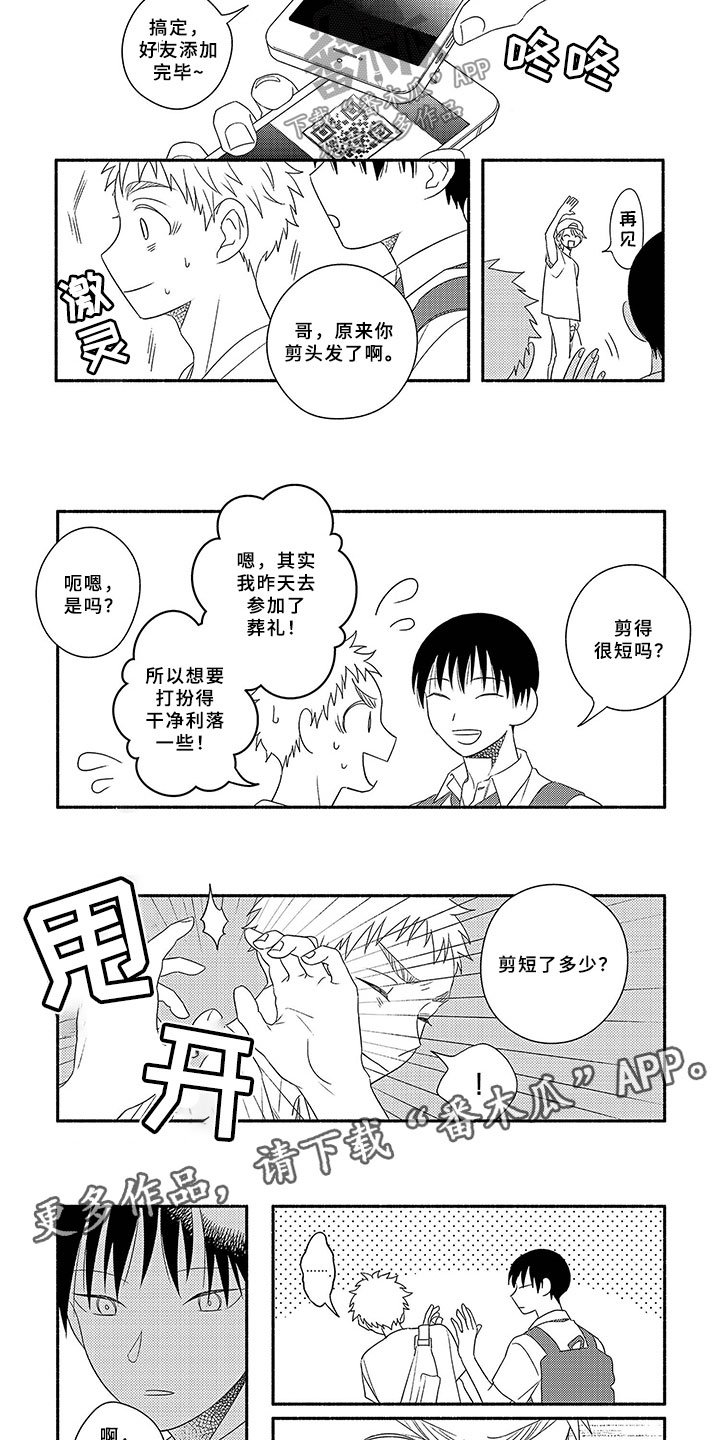 第15章：头发