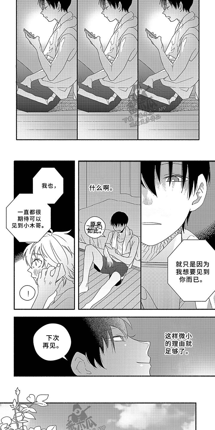第4章：微小的理由