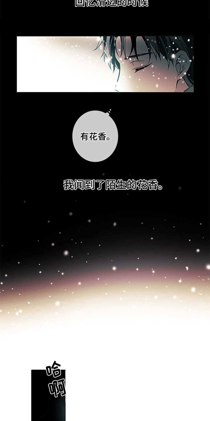 第3章：日复一日