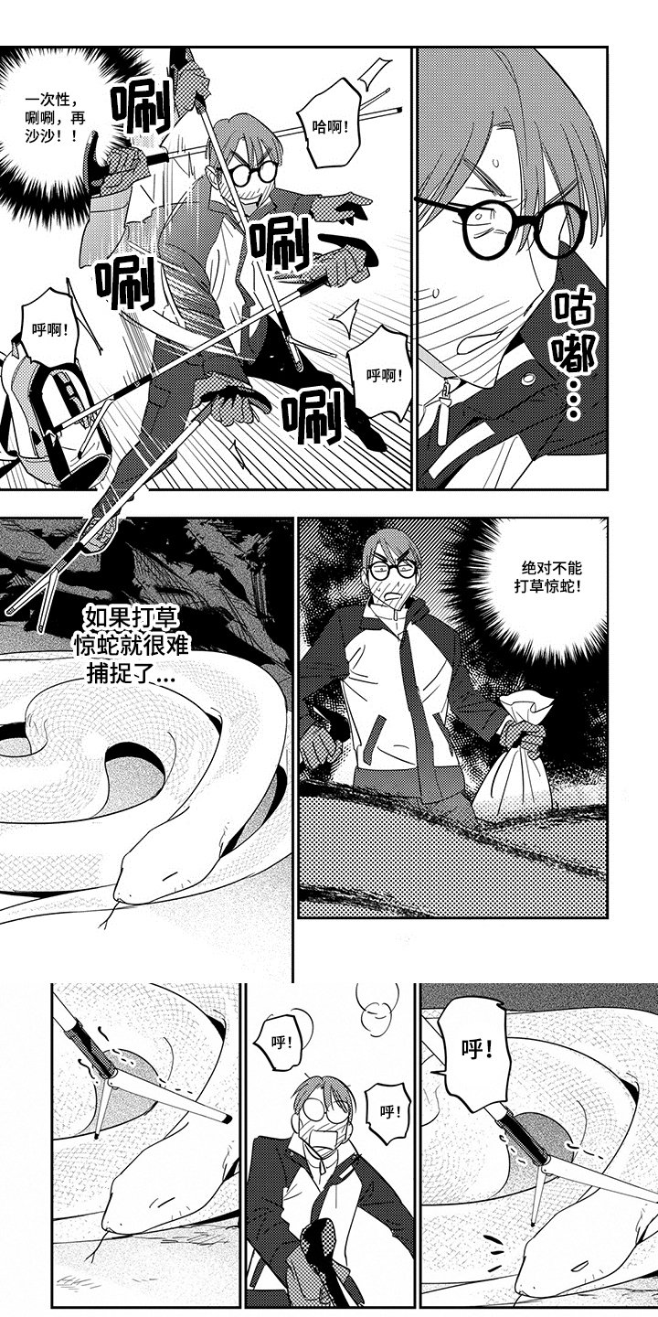第2章：出现