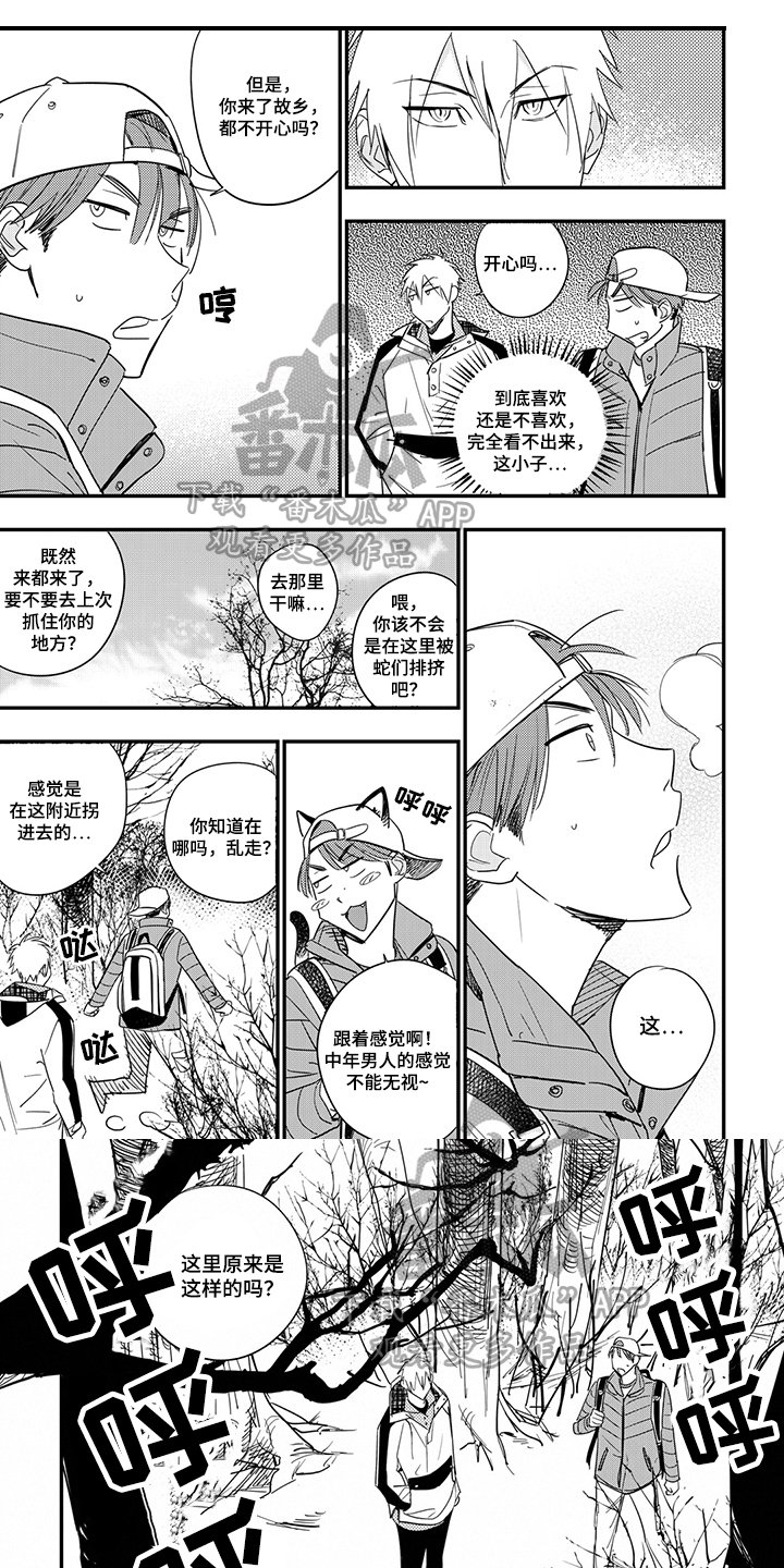 第28章：关注