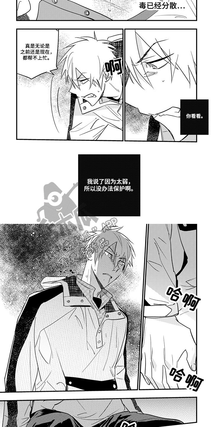 第31章：保护