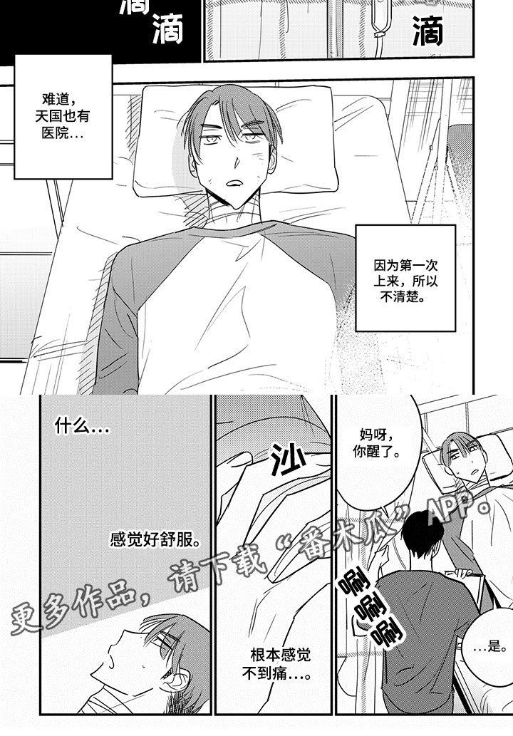 第31章：保护