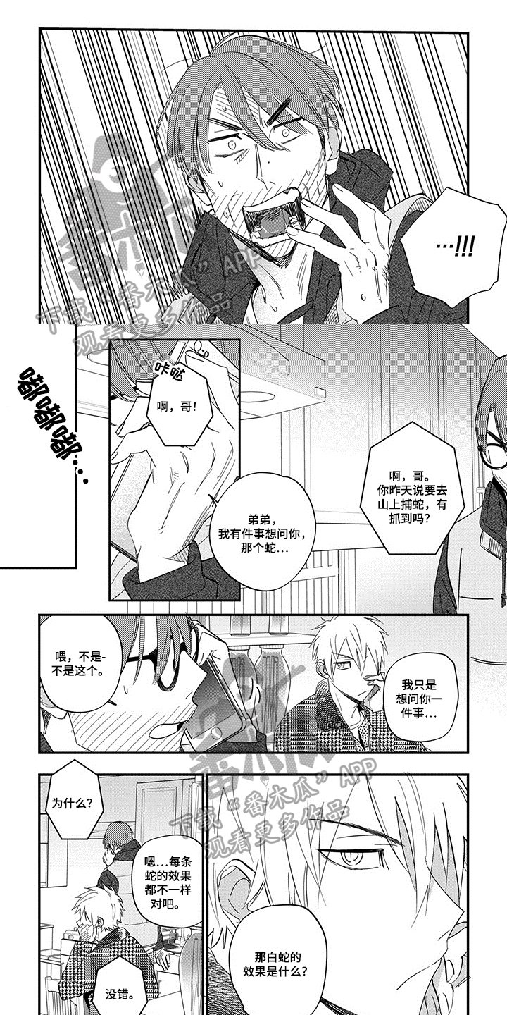 第6章：解释