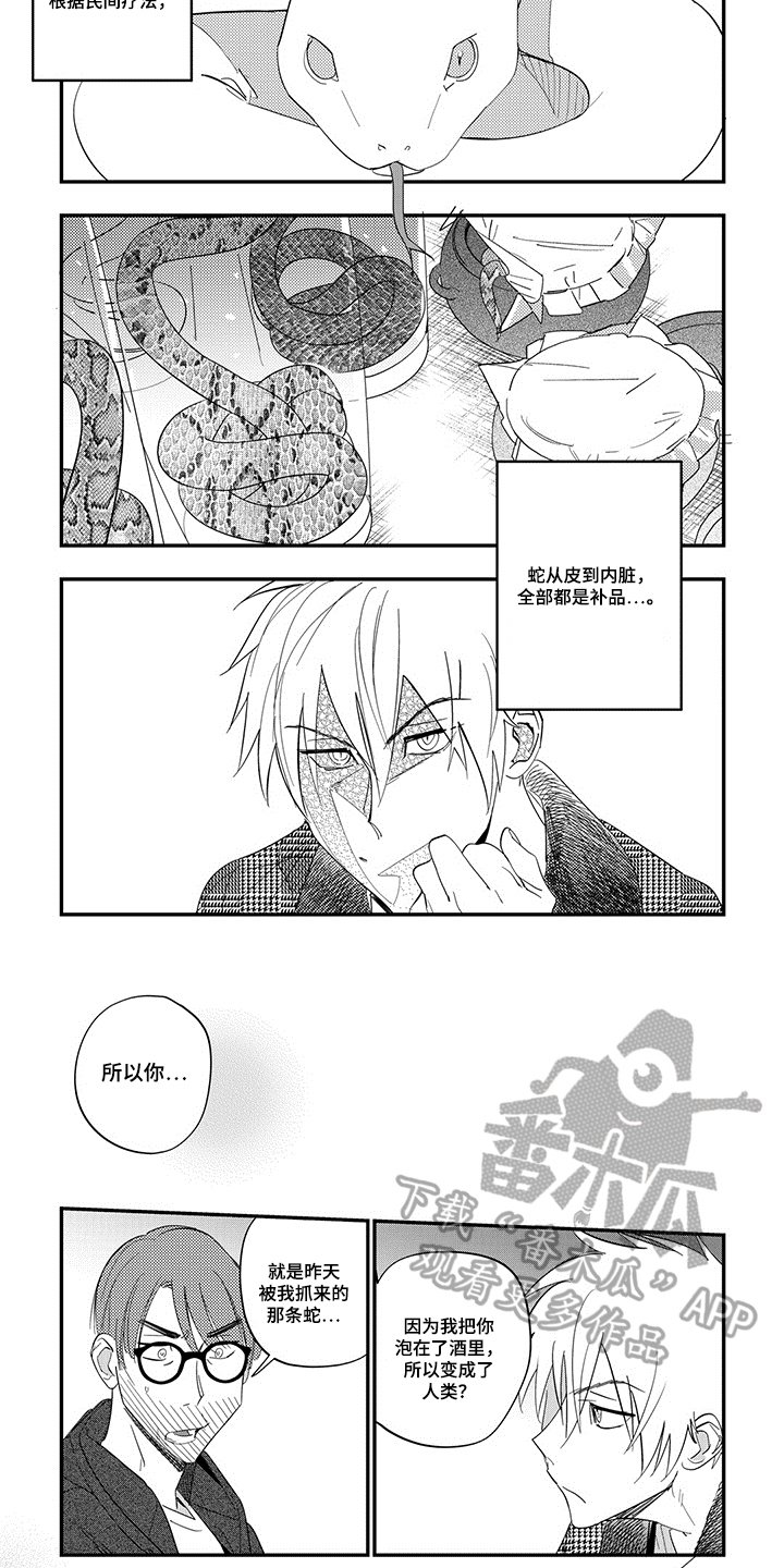 第6章：解释