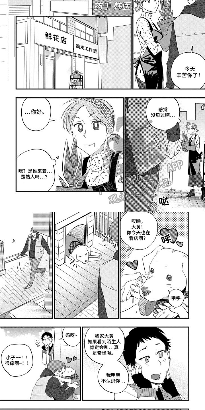 第8章：验证