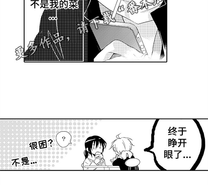 第12章：耀眼