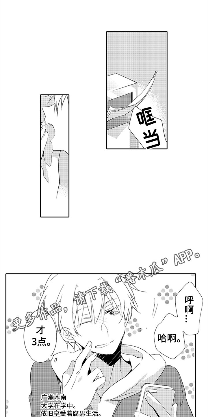 第12章：耀眼