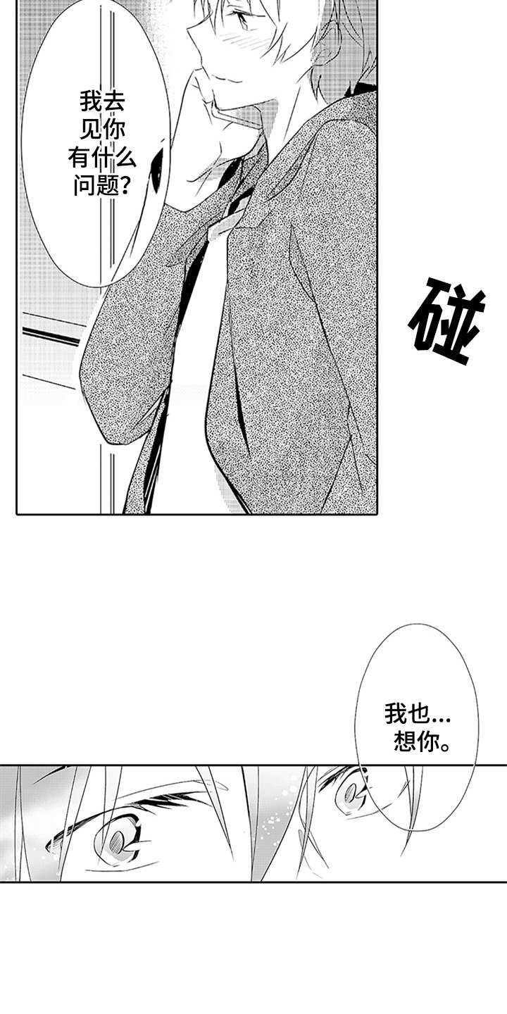 第16章：见面