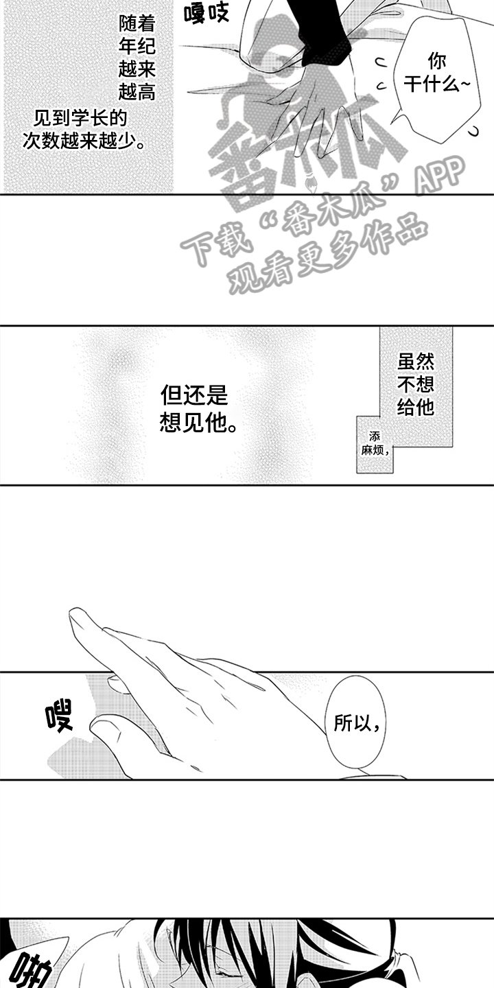 第18章：身份