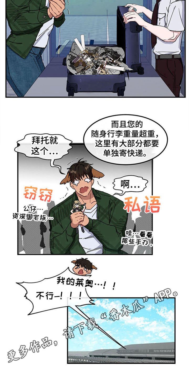 第15章：空乘服务：旅行准备