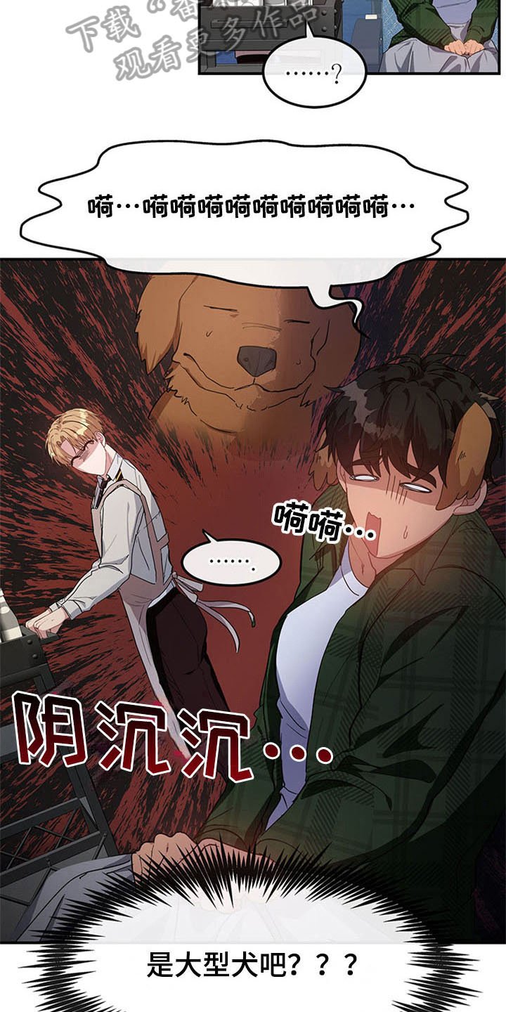 第19章：空乘服务：认出