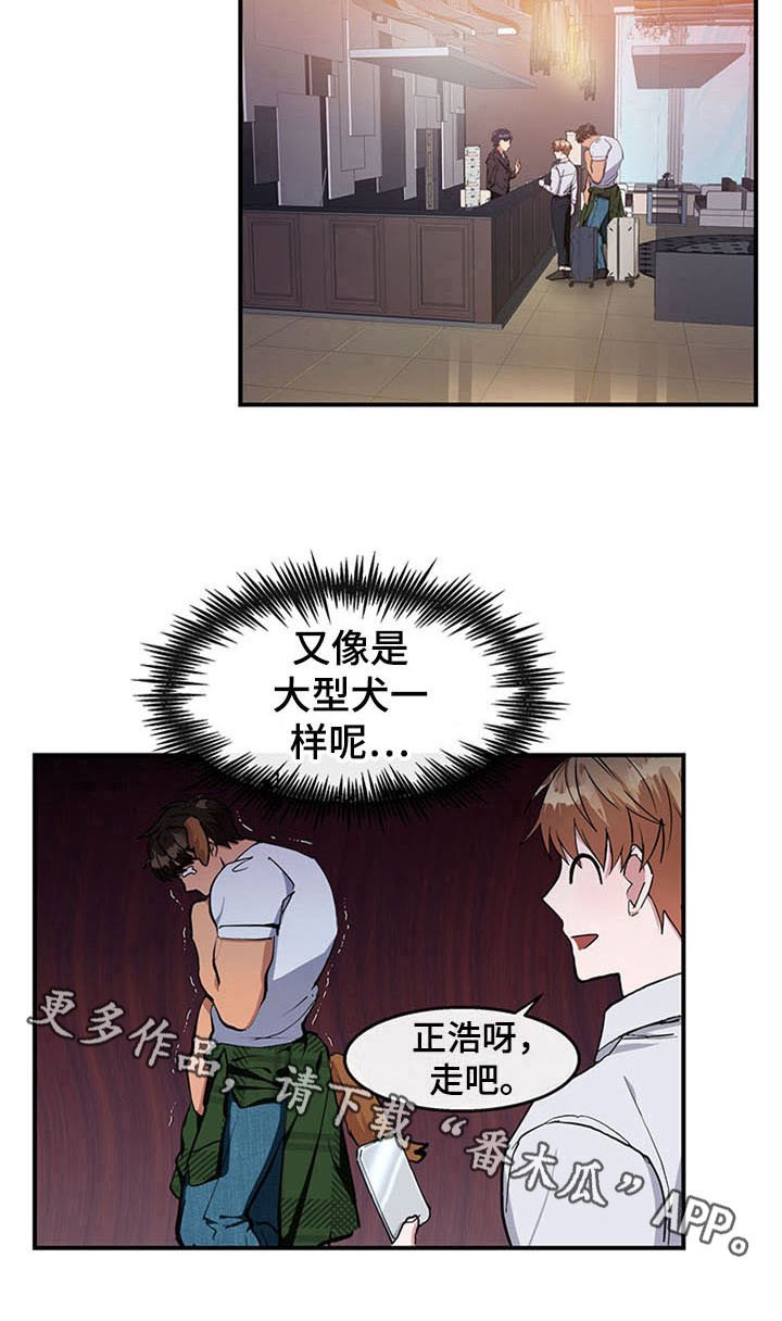 第21章：空乘服务：极限