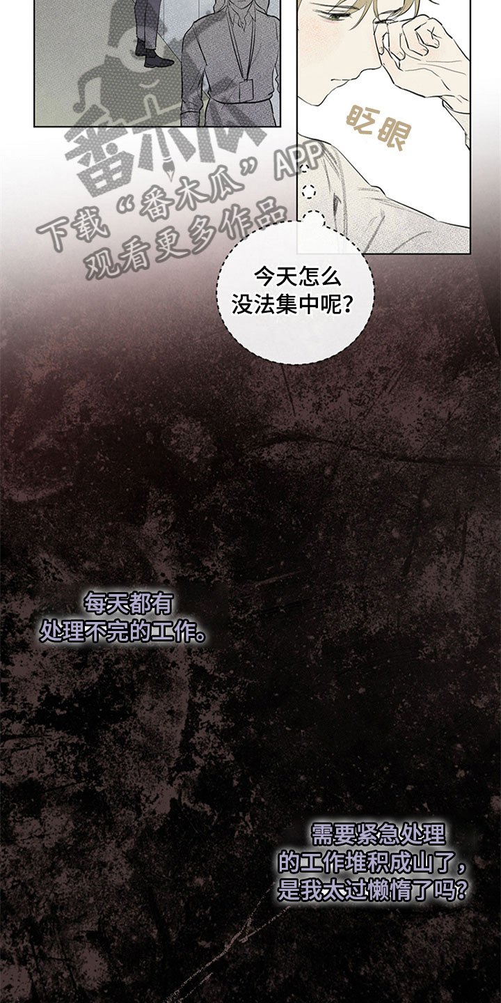 第24章：新古董伙伴：单身搭档旅游