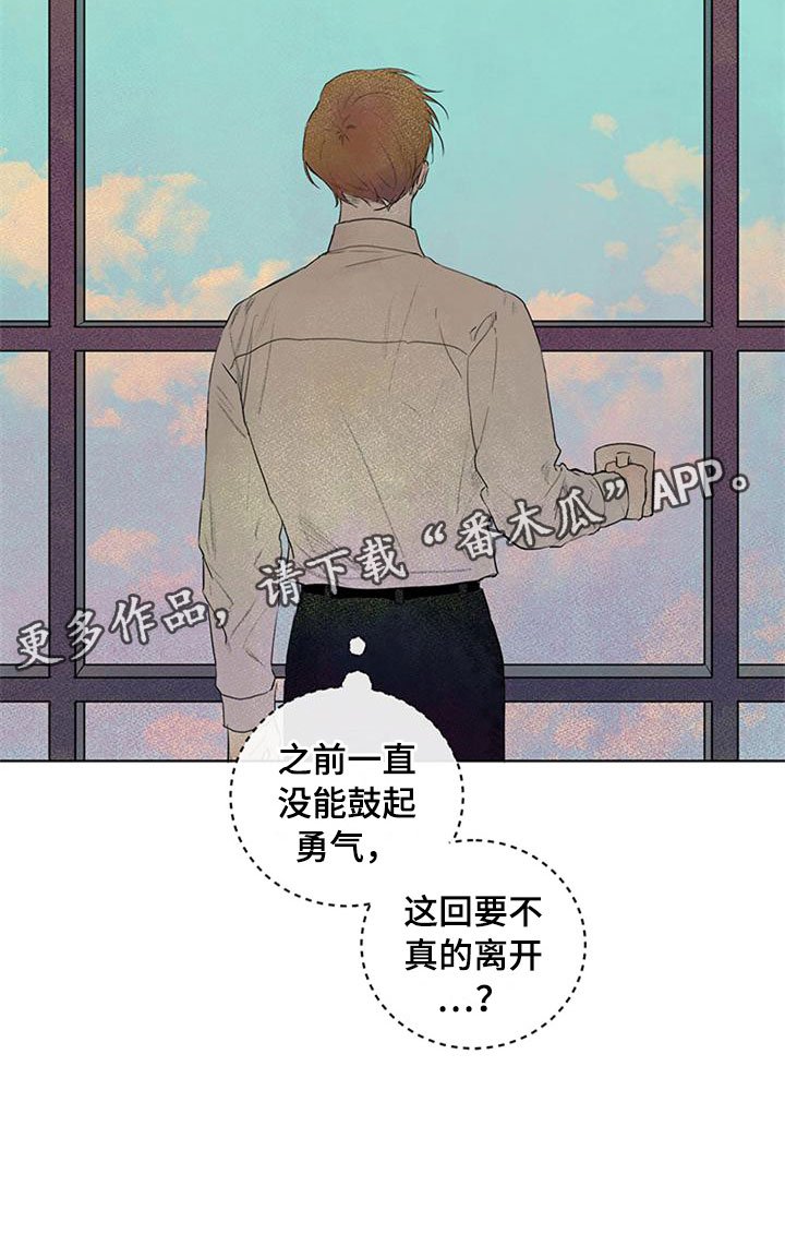 第24章：新古董伙伴：单身搭档旅游