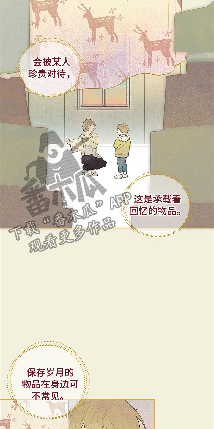 第24章：新古董伙伴：单身搭档旅游