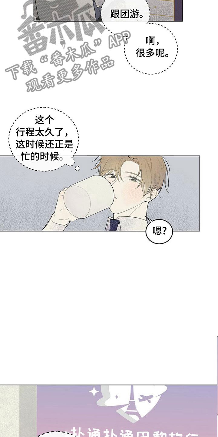 第24章：新古董伙伴：单身搭档旅游