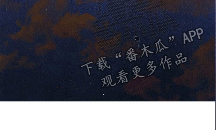 第24章：新古董伙伴：单身搭档旅游