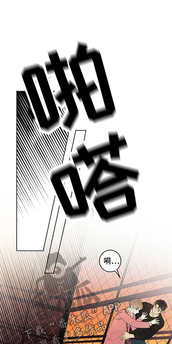 第27章：新古董伙伴：突飞猛进