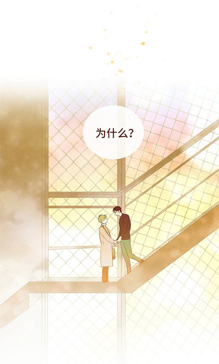 第27章：新古董伙伴：突飞猛进