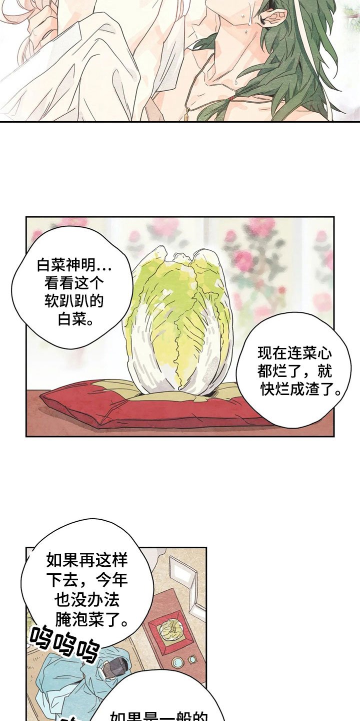 第32章：萝卜与白菜：泡菜神