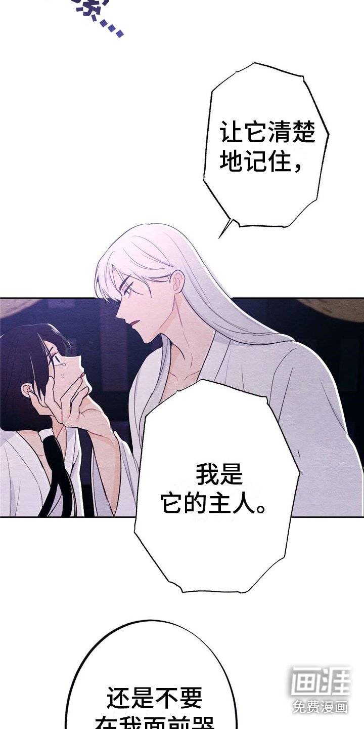 第11章：讨厌我？