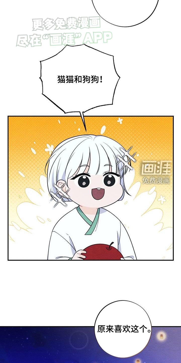 第116章：风灯节