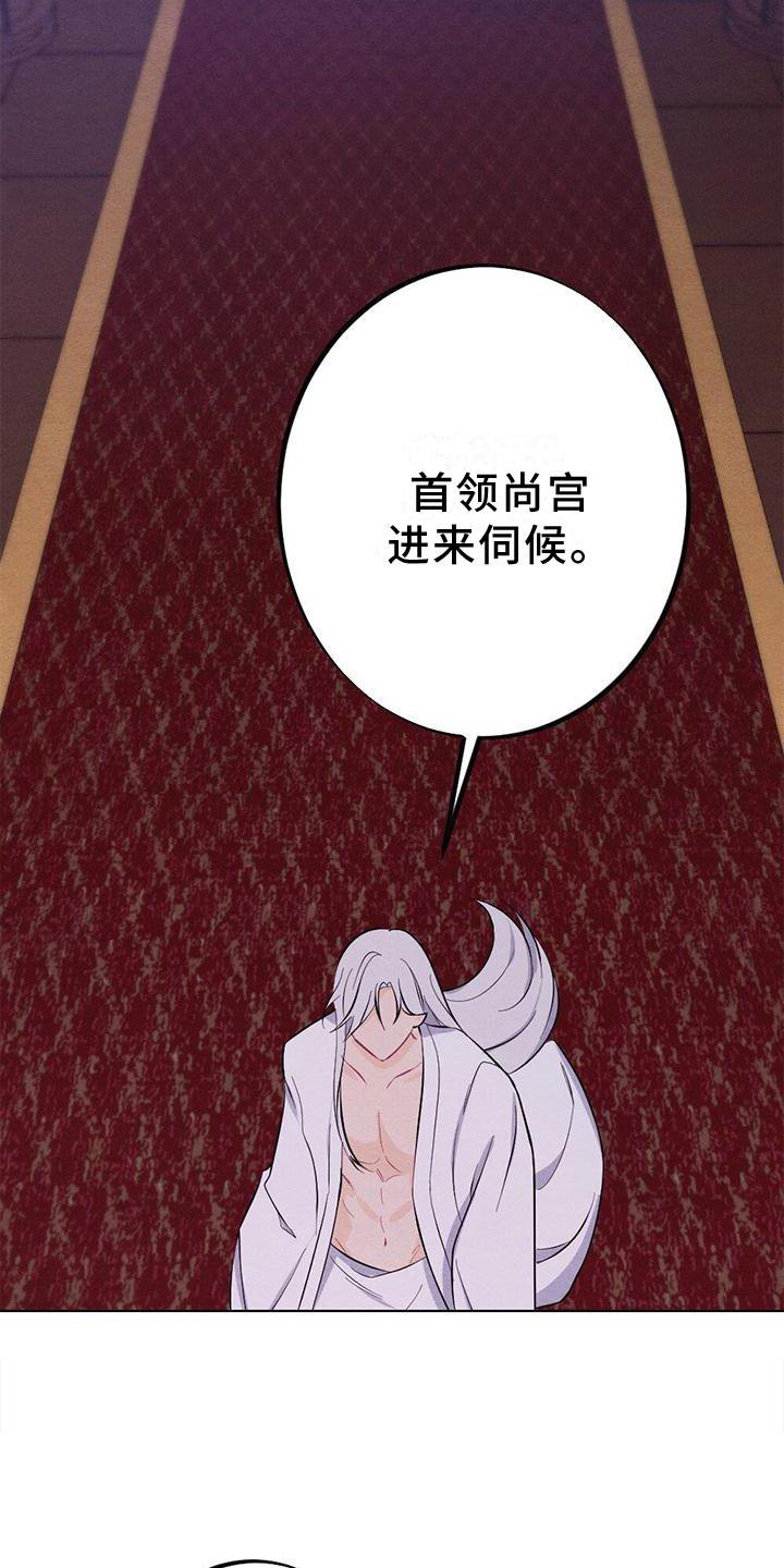 第16章：擦药