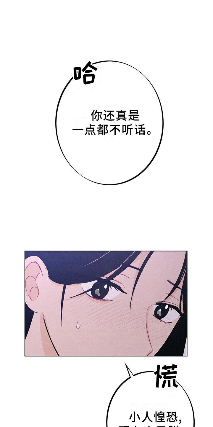 第17章：命令