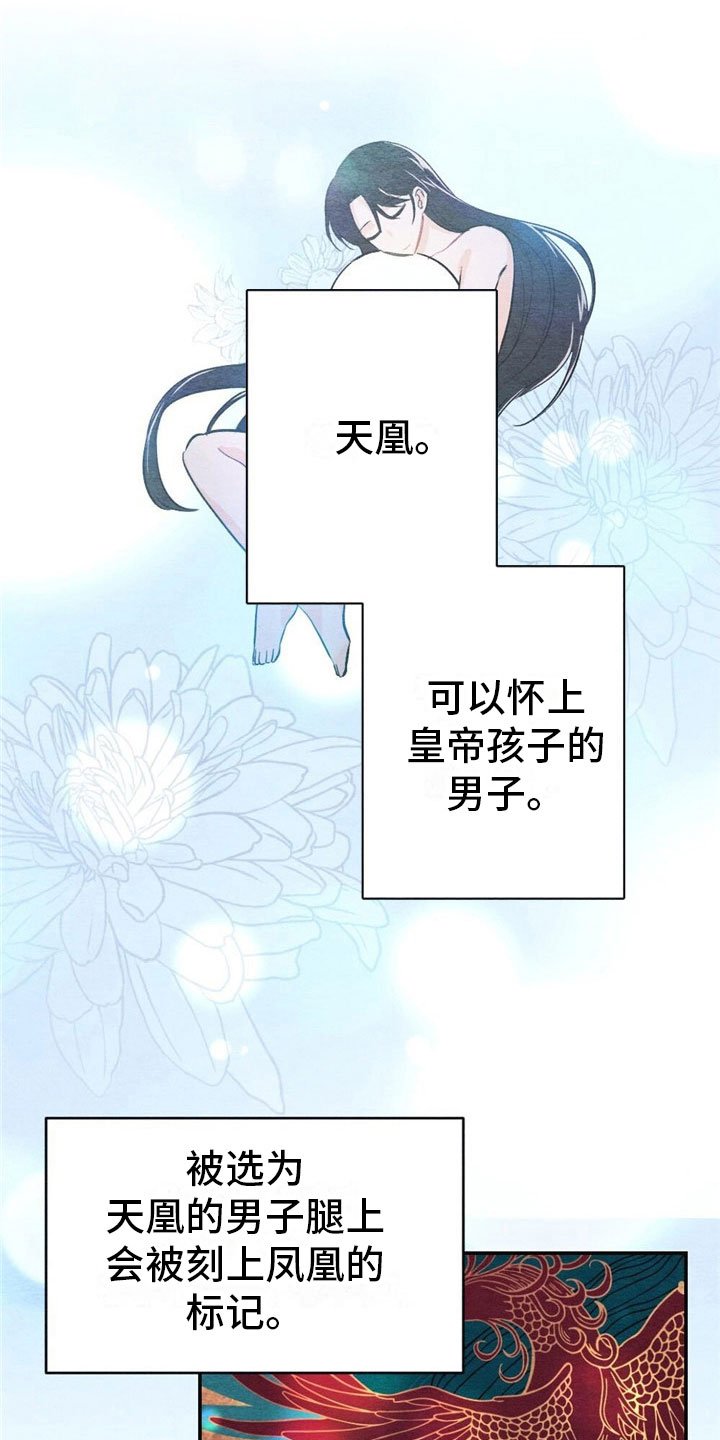 第2章：天凰