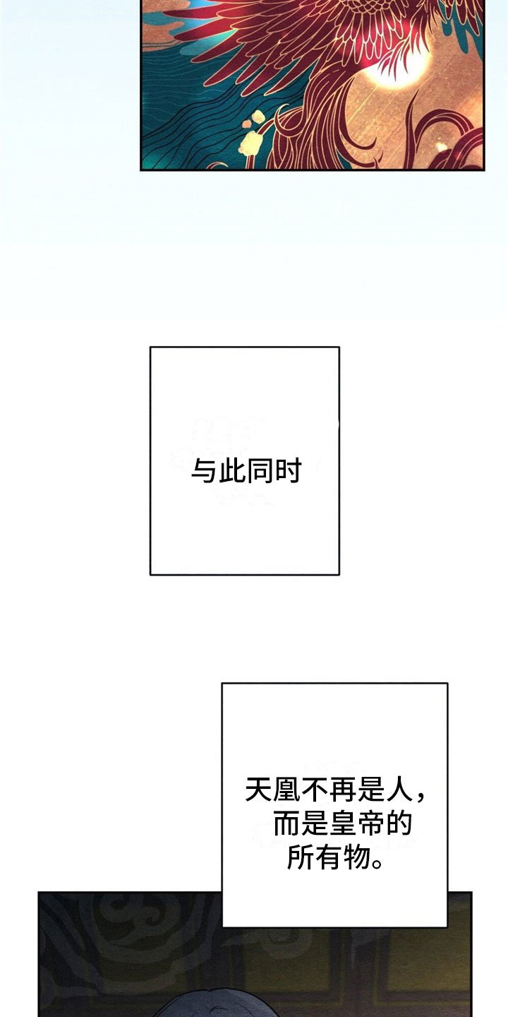 第2章：天凰