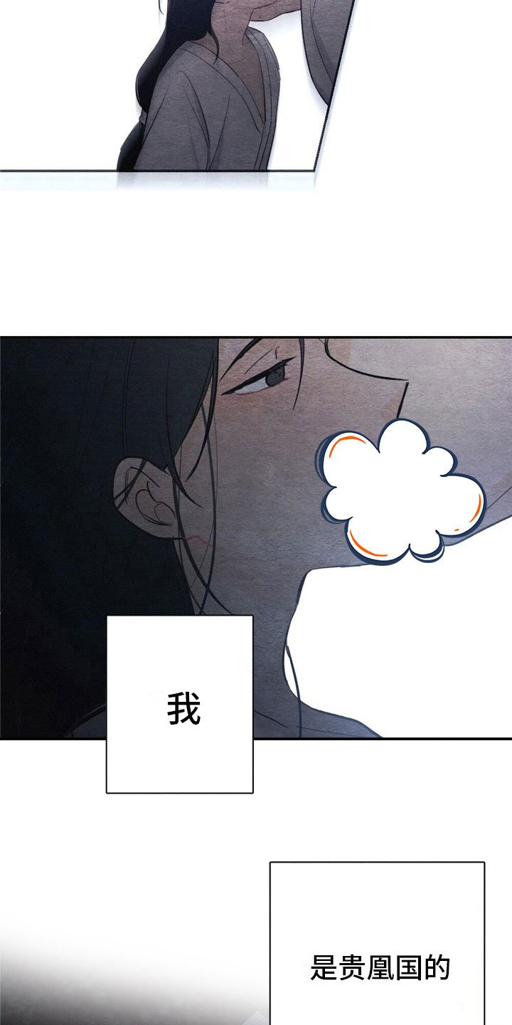 第2章：天凰