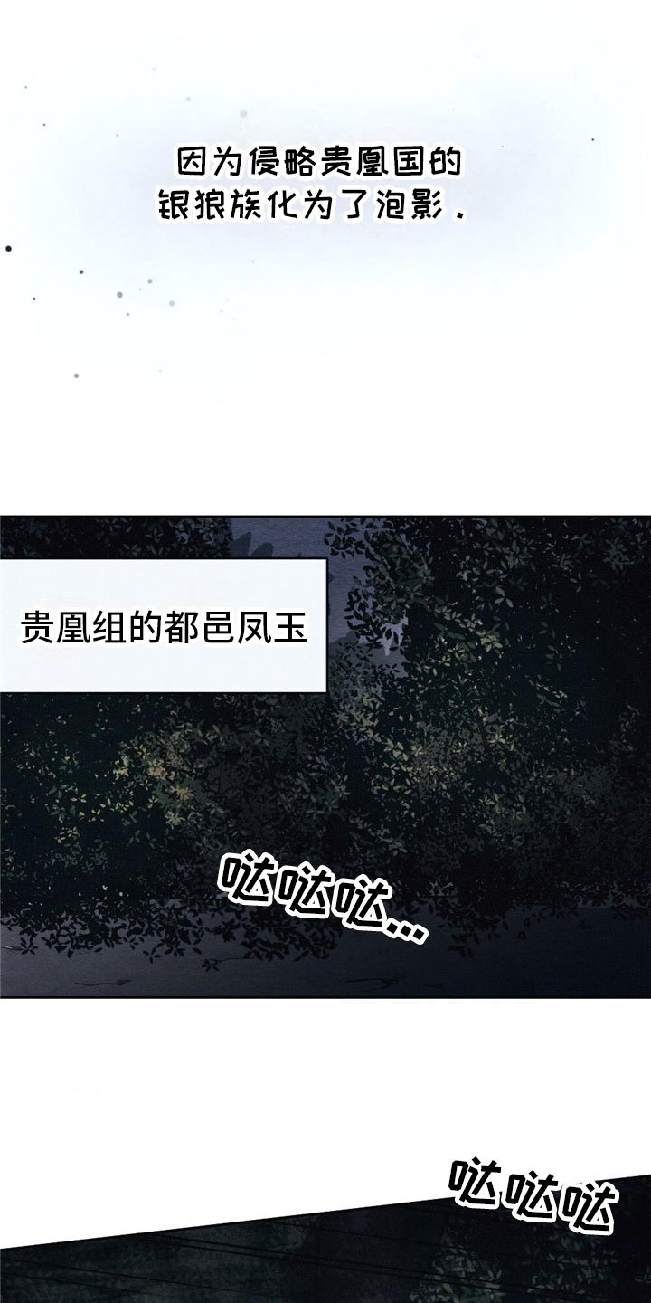 第3章：银狼族
