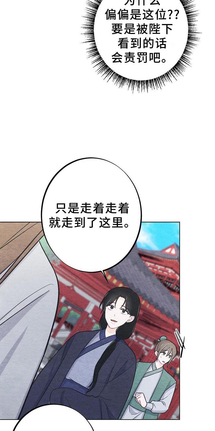 第31章：掠过