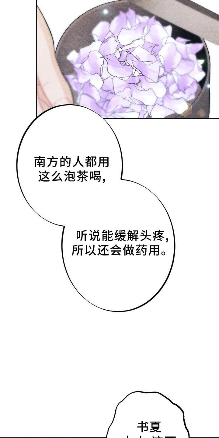 第31章：掠过