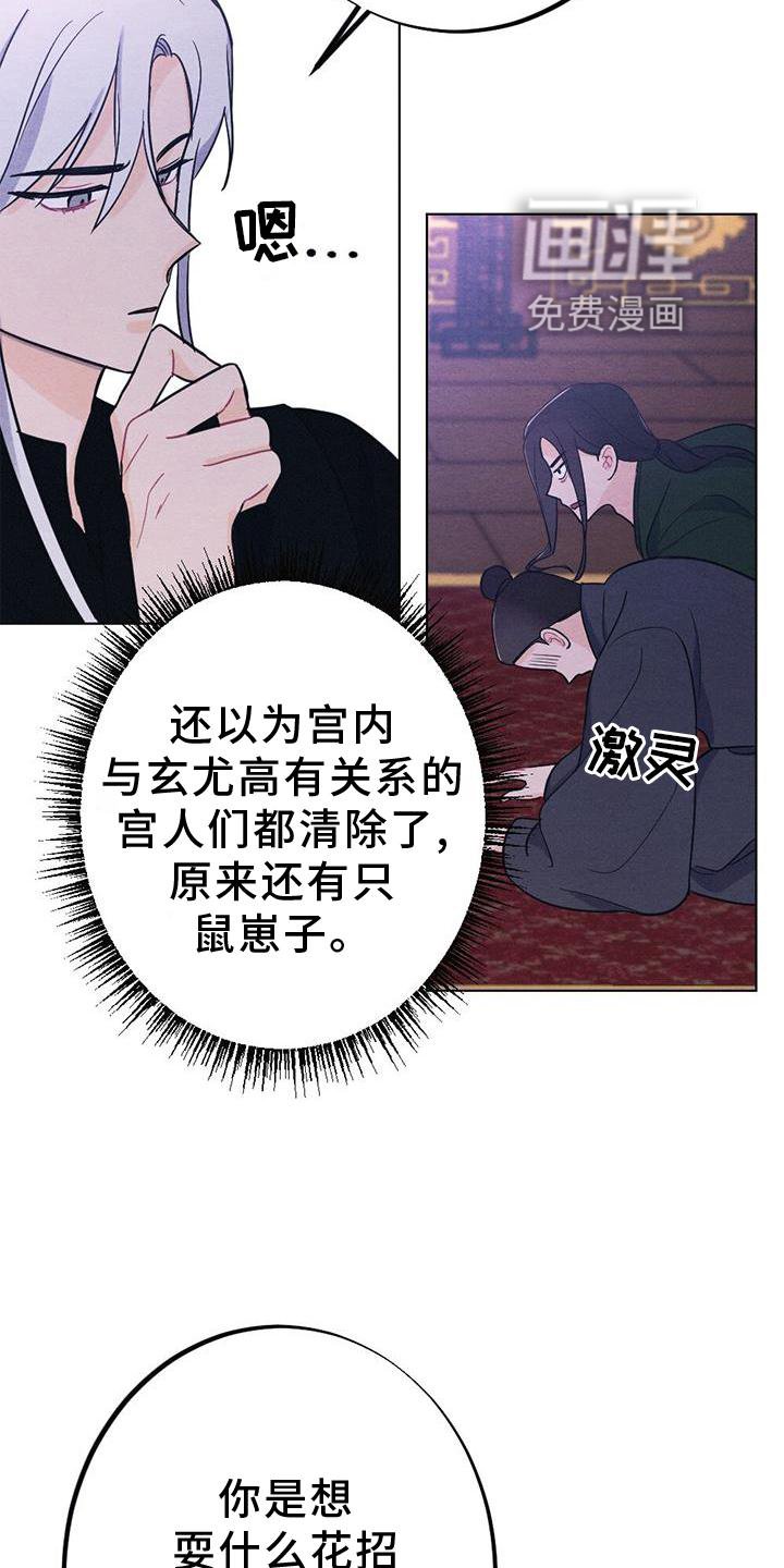 第34章：表现