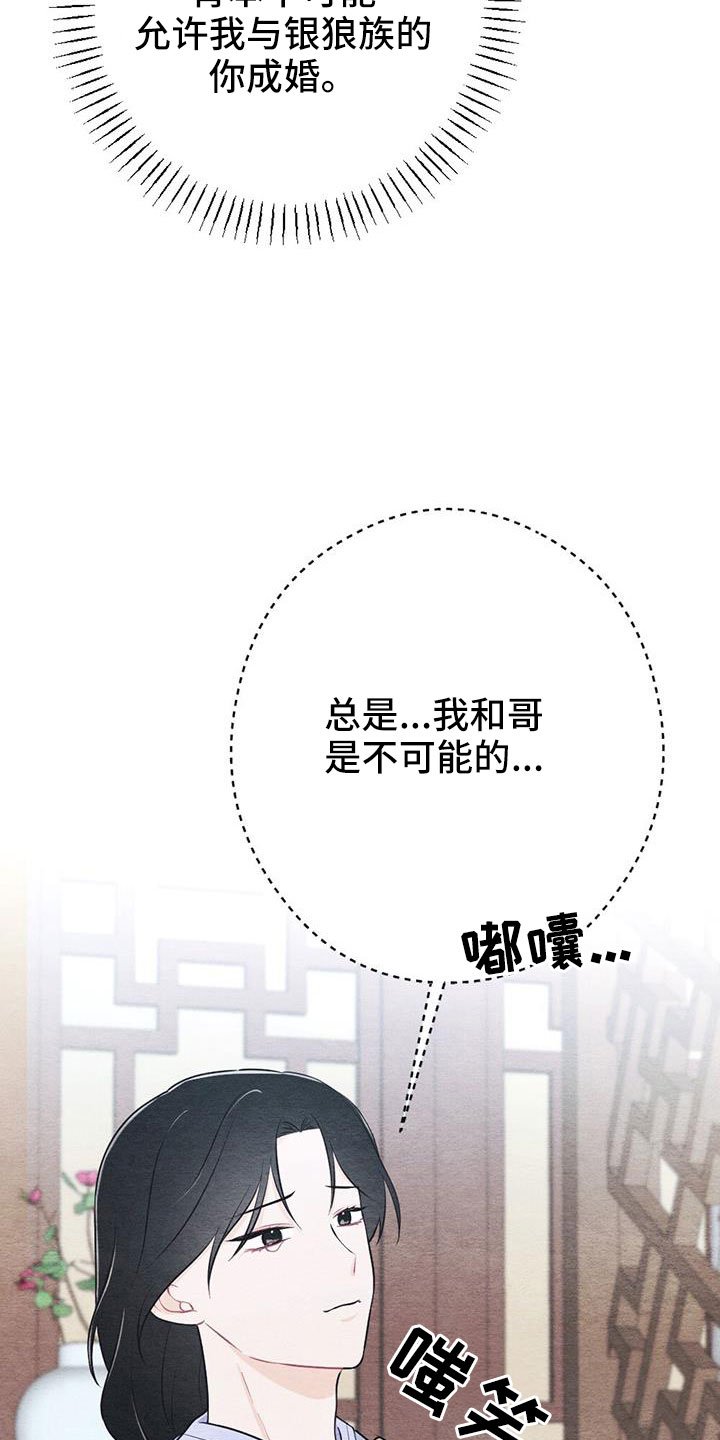 第44章：无法实现的梦