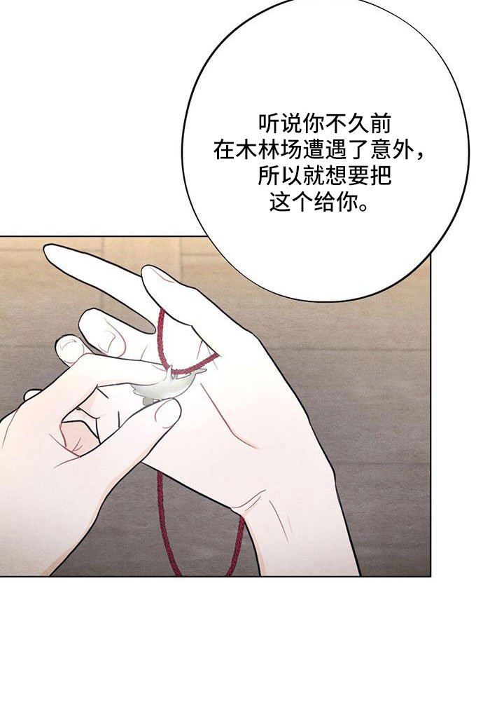 第46章：护身符