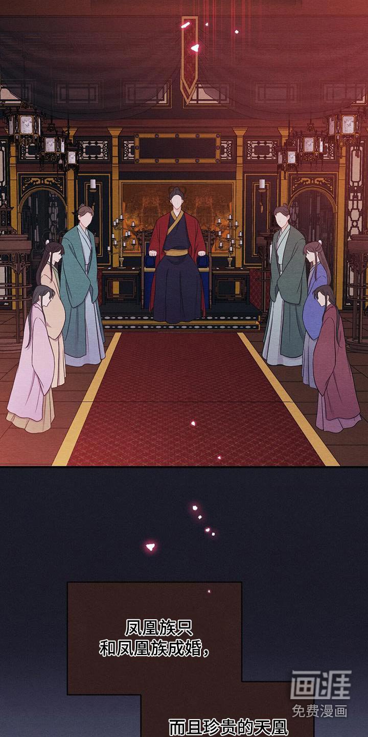 第67章：礼物