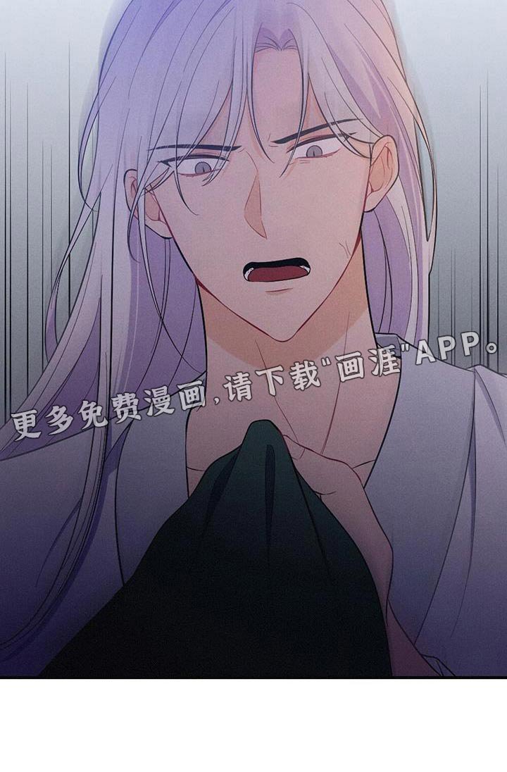 第73章：解释