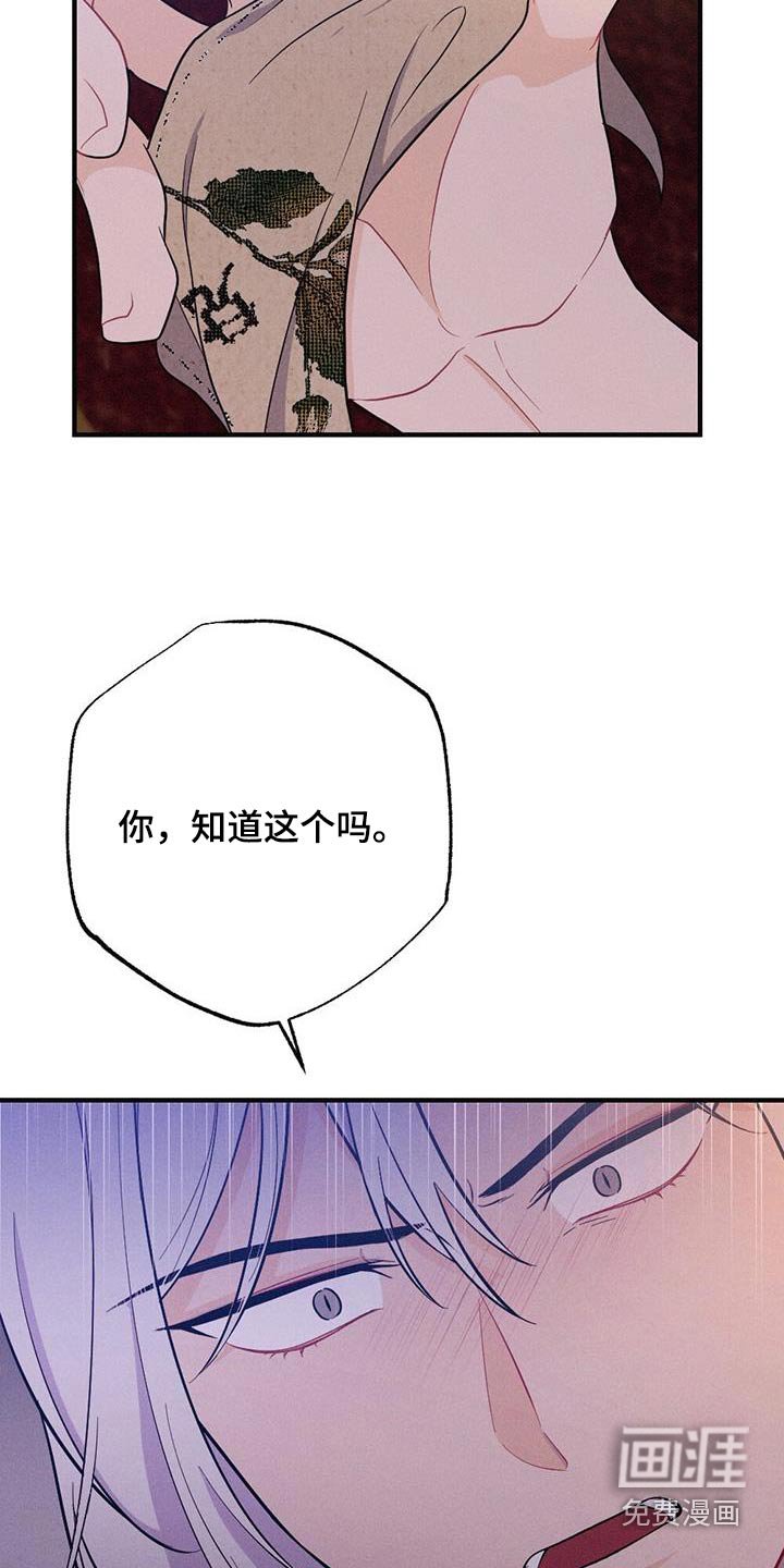 第74章：爱慕