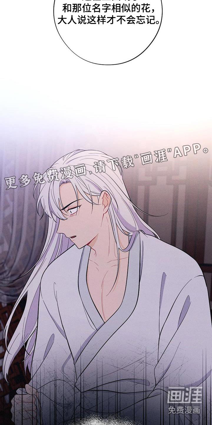 第74章：爱慕
