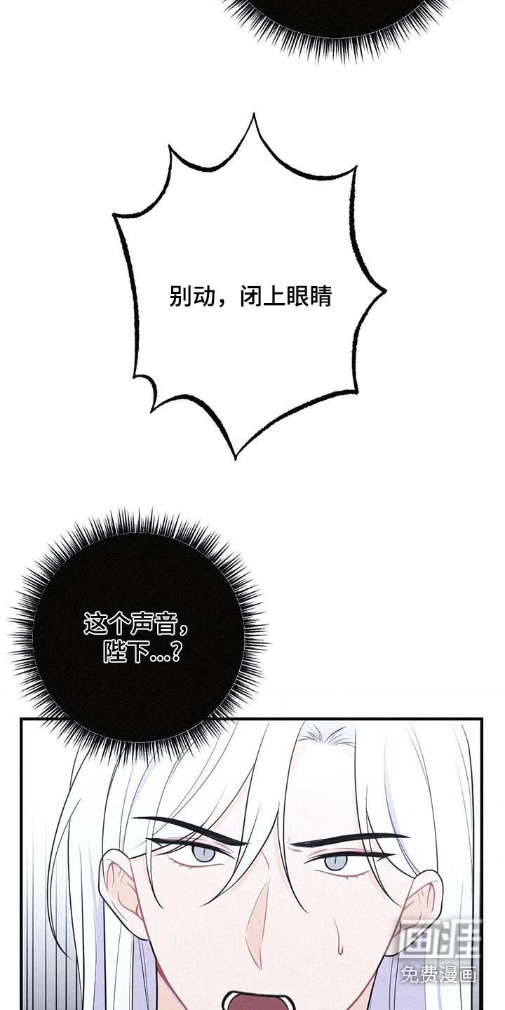 第87章：毒蛇