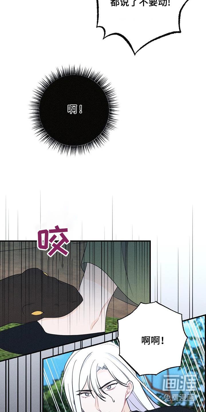 第87章：毒蛇