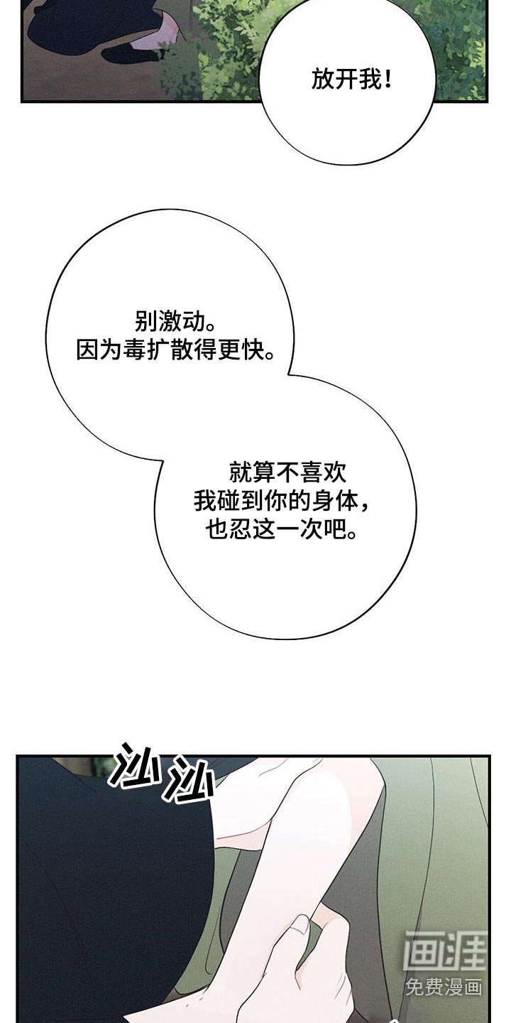 第87章：毒蛇