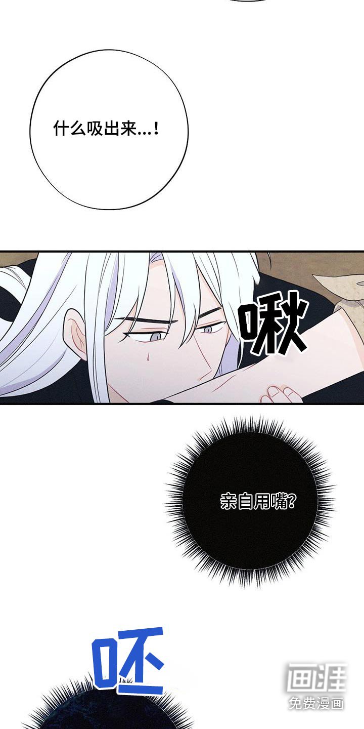 第87章：毒蛇