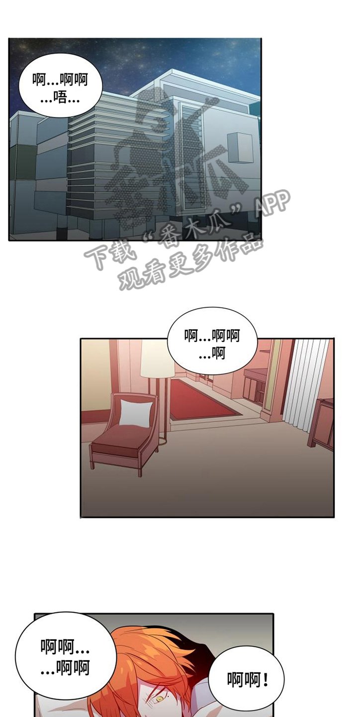 第13章：释放