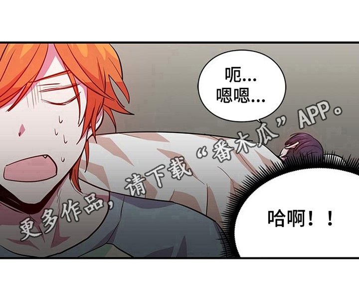 第14章：安排