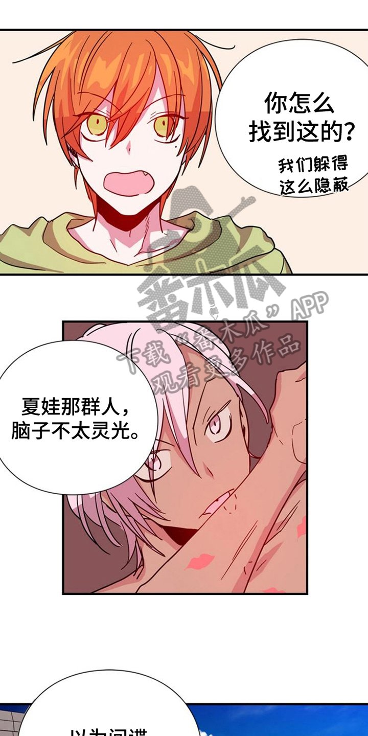 第20章：计划开始